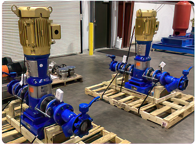 Use this:</p><p>URL slug: carbon-steel-esv-pump-skids-chiller-test-loop-capacity</p><p>Image filename: carbon-steel-esv-pump-skids-chiller-test-loop-capacity.jpg</p><p>Alt text:</p><p>Carbon steel e-SV pump skids fabricated by Tencarva for expanded chiller test loop capacity.<br />